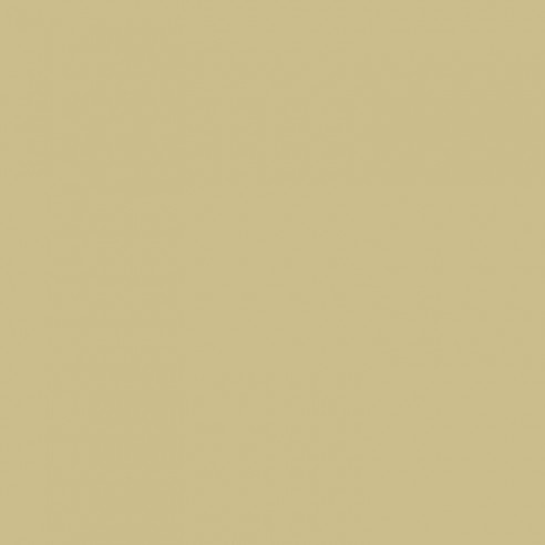 RAL 1000 Crystic GT-600 Isophtal-Gelcoat - PINSEL