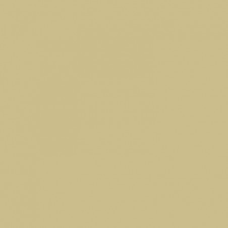 RAL 1000 Crystic GT-600 Gelcoat isoftálico - BROCHA