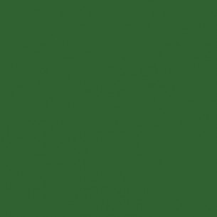 RAL 6002 Crystic GT-600 Gelcoat isoftálico - BROCHA