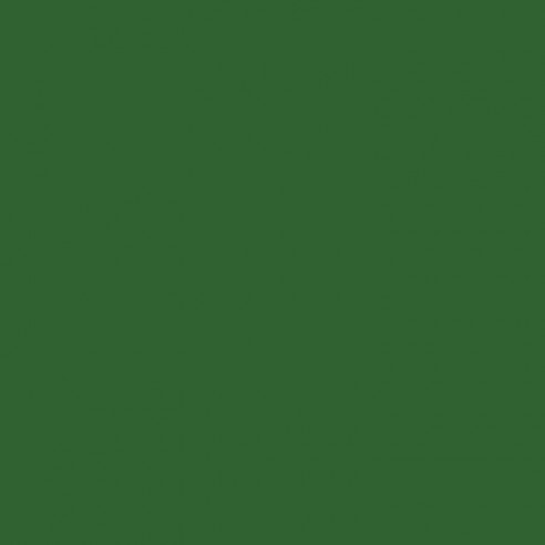 RAL 6002 Crystic GT-600 Gelcoat isoftalico - PENNELLO