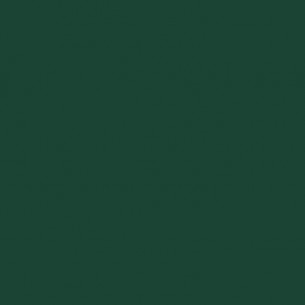 RAL 6005 Crystic GT-600 Gelcoat isoftalico - PENNELLO