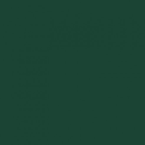 RAL 6005 Crystic GT-600 Gelcoat isoftálico - PINCEL