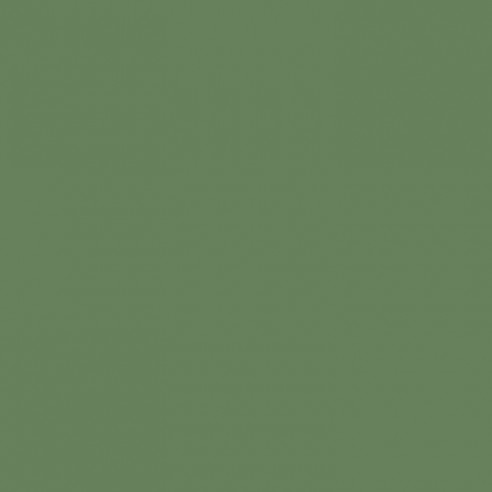RAL 6011 Crystic GT-600 Isophtal-Gelcoat - PINSEL