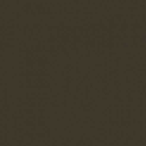 RAL 6022 Crystic GT-600 Isophtal-Gelcoat - PINSEL