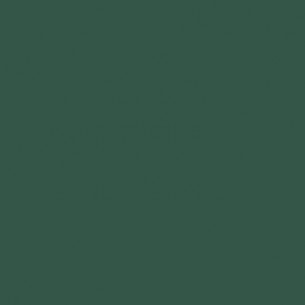 RAL 6028 Crystic GT-600 Isophtal-Gelcoat - PINSEL