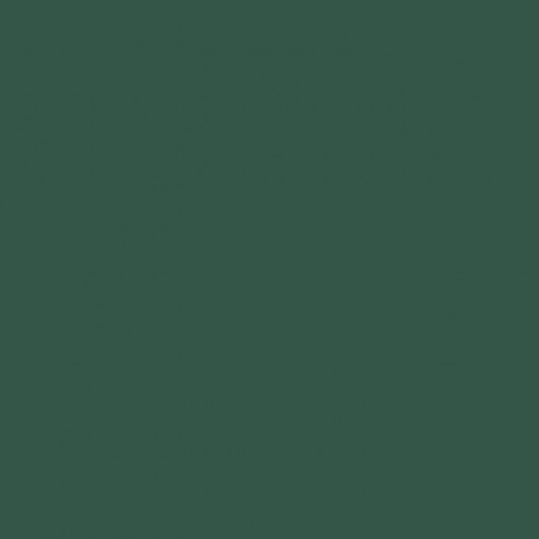 RAL 6028 Crystic GT-600 Gelcoat isoftalico - PENNELLO