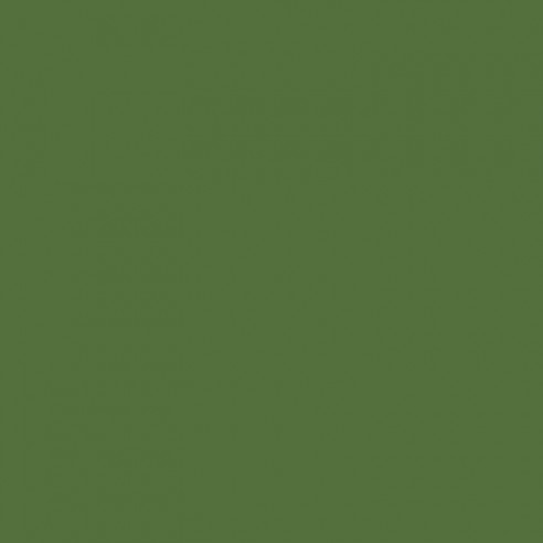 RAL 6025 Crystic GT-600 Gelcoat isoftalico - PENNELLO