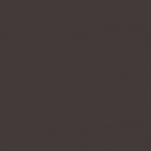 RAL 8019 Crystic GT-600 Gelcoat isoftálico - BROCHA