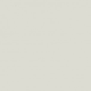 RAL 9002 Crystic GT-600 Gelcoat isoftalico - PENNELLO