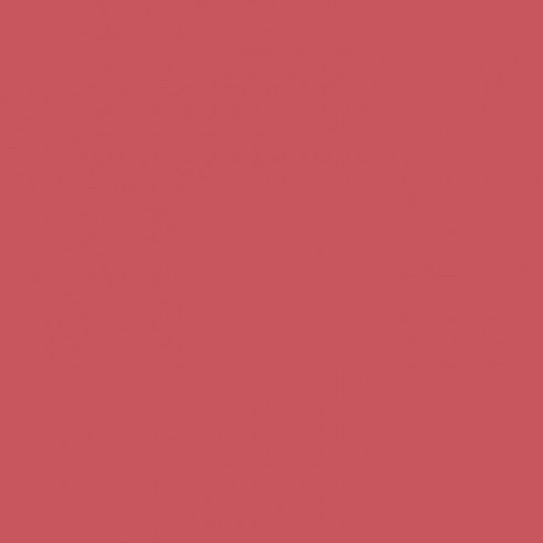 RAL 3017 Crystic GT-900 Isophtal-Gelcoat - SPRAY