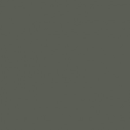 RAL 7009 Crystic GT-900 Gelcoat isoftalico - PISTOLA