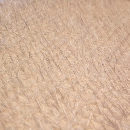 SAERfoam PU10 O10-30-Fiberglas-Verstärkte Polyurethan-Schaum