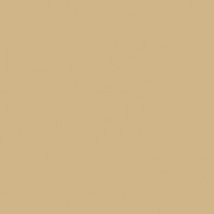 RAL 1001 Crystic GT-600 PAX TOPCOAT Isophtalique - BROSSE