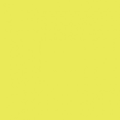 RAL 1016 Crystic GT-900 PAX Isophtal-Topcoat - SPRAY