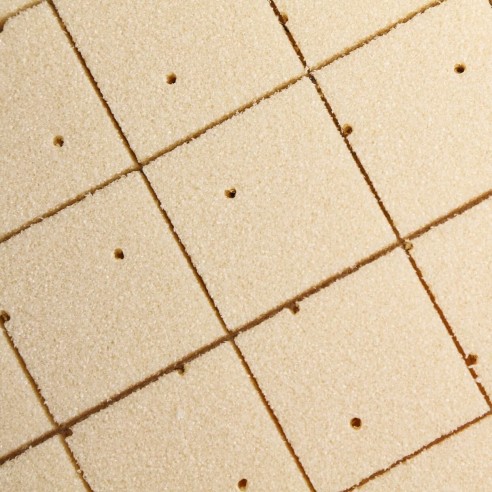 La SCHIUMA del PVC Divinycell H80 10 Q300 scrim di 10 MM