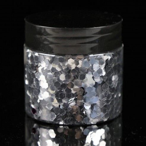 ANIMAUX de Paillettes