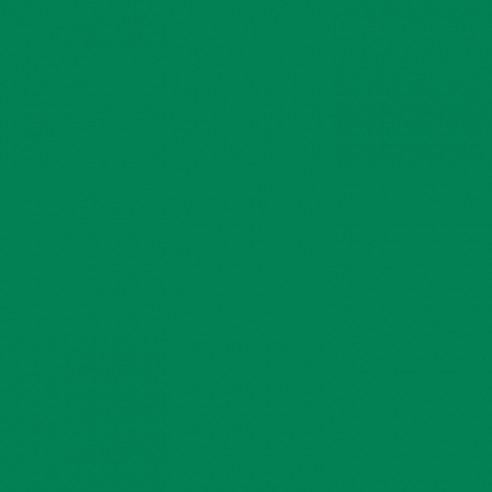 RAL 6024 Crystic Topcoat GT-1000 PAX ISO-NPG for Spray