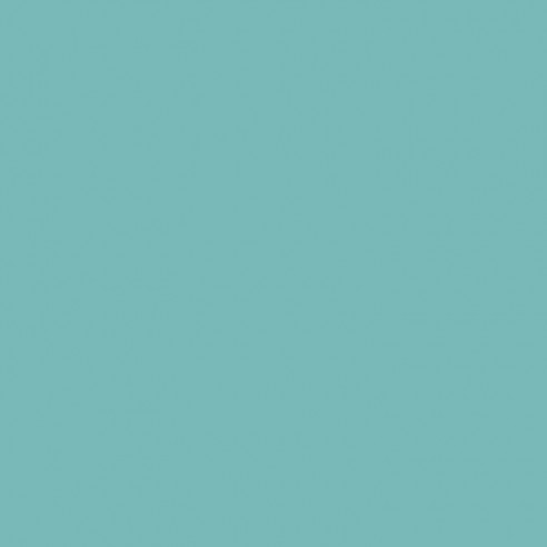 RAL 6027 Crystic Topcoat GT-1000 PAX ISO-NPG per pistola