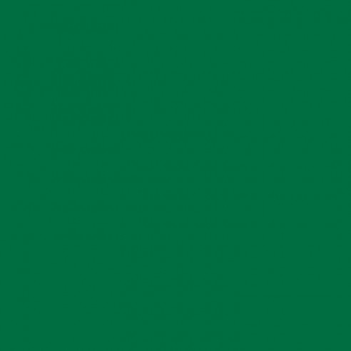 RAL 6029 Crystic Topcoat GT-1000 PAX ISO-NPG per pistola