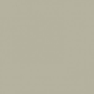 RAL 7032 Crystic Topcoat GT-1000 PAX ISO-NPG pour pistolet