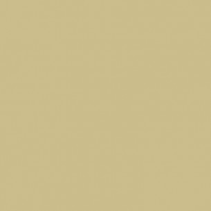 RAL 1000 Crystic Topcoat GT-1000 PAX ISO-NPG pour pistolet