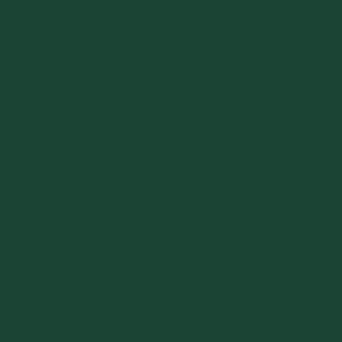 RAL 6005 Crystic GT-900 Gelcoat isoftalico - PISTOLA