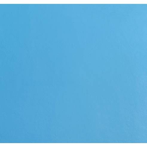 Brush Swimming Pool Applications...