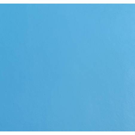 Brush Swimming Pool Applications Topcoat TC 976 KH P1/8591 Blue AC