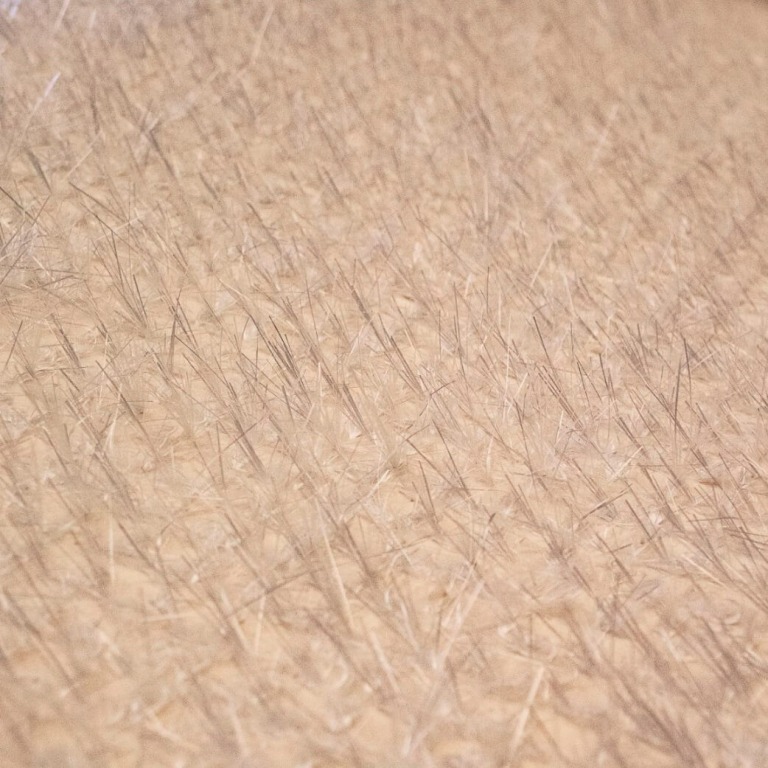 SAERfoam PU10 O10-30-Fiberglas-Verstärkte Polyurethan-Schaum