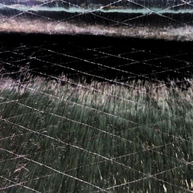 Unidirectional carbon fabric 600 g / m2